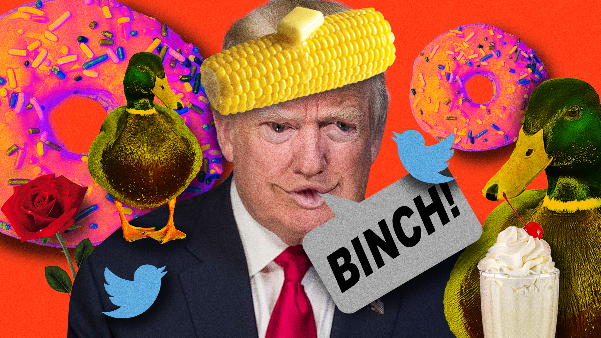 Corncob? Donut? Binch? A Guide to Weird Leftist Internet